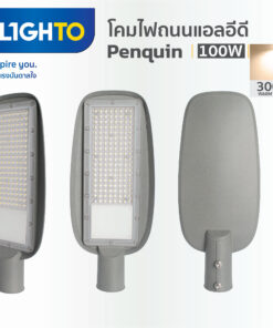 FX ST02 0100 30K LED Streetlight Penquin 100W 3000K 1 247x296