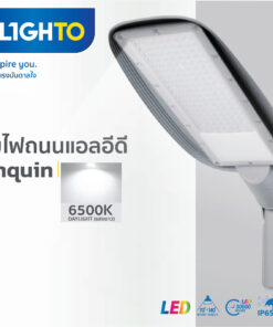 FX ST02 LED Streetlight Penquin 247x296