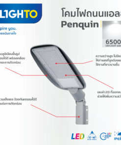 FX ST02 LED Streetlight Penquin 3 247x296