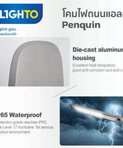 FX ST02 LED Streetlight Penquin 5 247x296