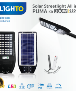Solar-Streetlight-PUMA-300W