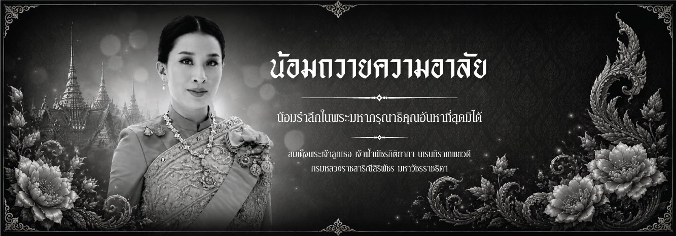 โคมไฟถนน LED องค์ภา 3