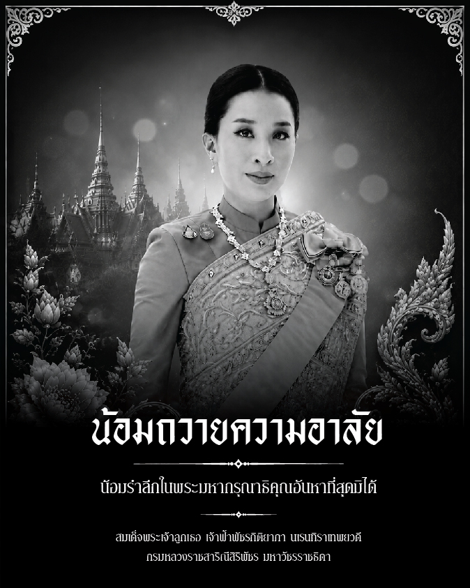 โคมไฟถนน LED องค์ภา 4 04